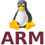 Linux ARM64 (Ubuntu)