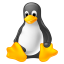 Linux x86_64
